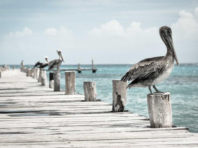 失业文学家<br>ljvwvuu.cn 低保户写作班